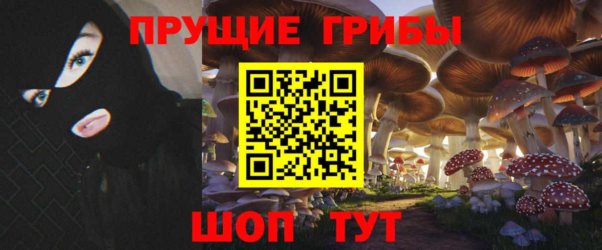наркота  Галлюциногенные грибы Psilocybe  Вход с VPN  Брянск 